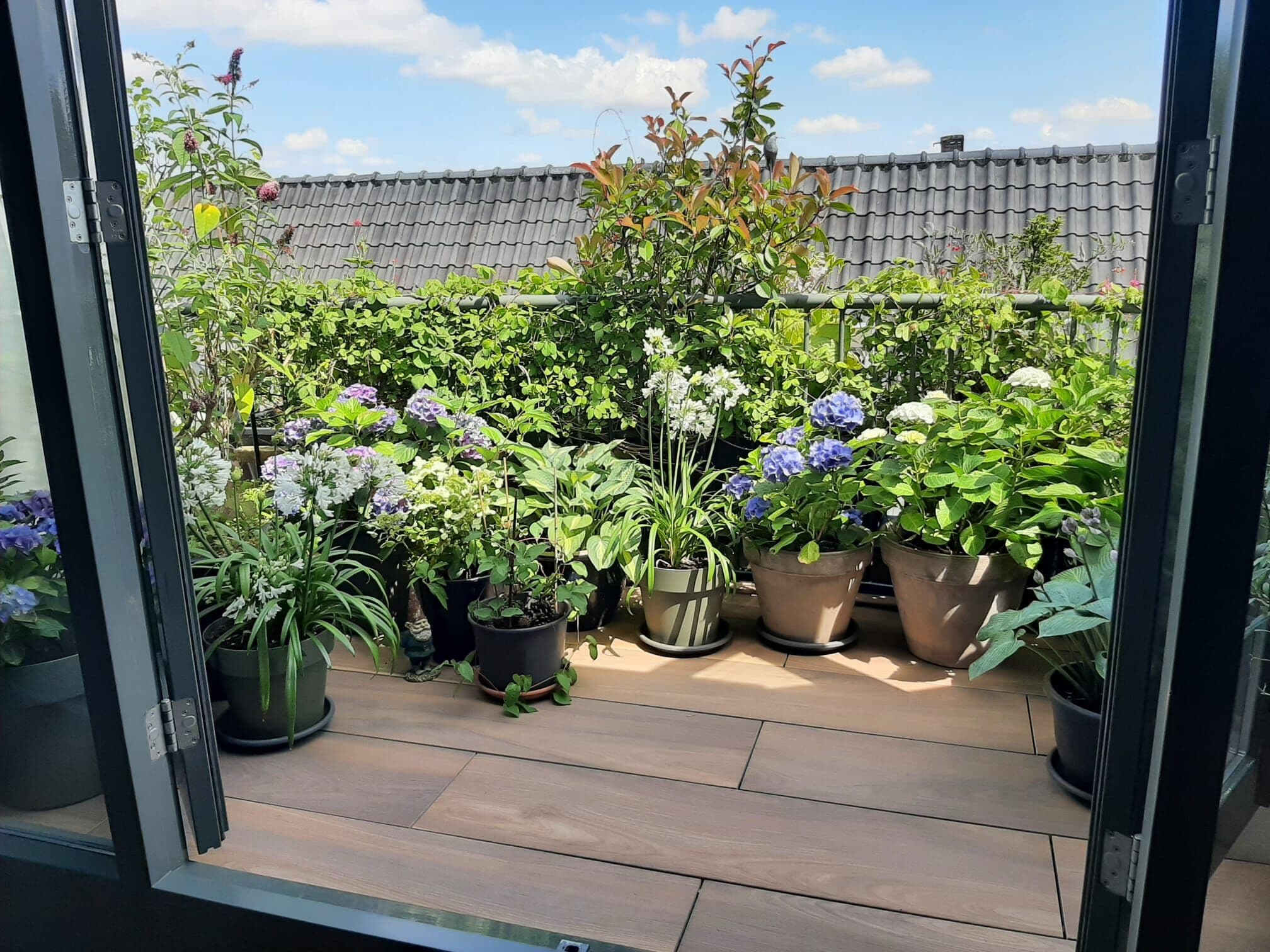 Project centrum Amsterdam: Dakterras met houtlook tegels en veel planten, gezien door openslaande deuren